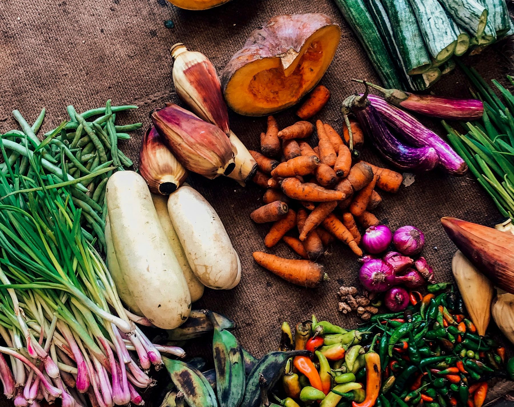 Legumes frescos variados sobre tecido: cenouras, abóbora, beringelas e cebolas